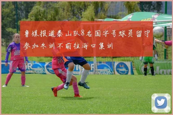 鲁媒报道泰山队8名国字号球员留守参加冬训不前往海口集训