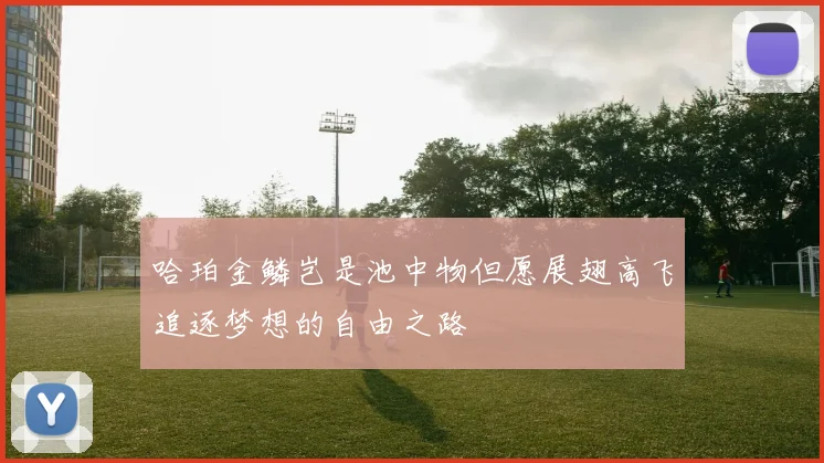 哈珀金鳞岂是池中物但愿展翅高飞追逐梦想的自由之路